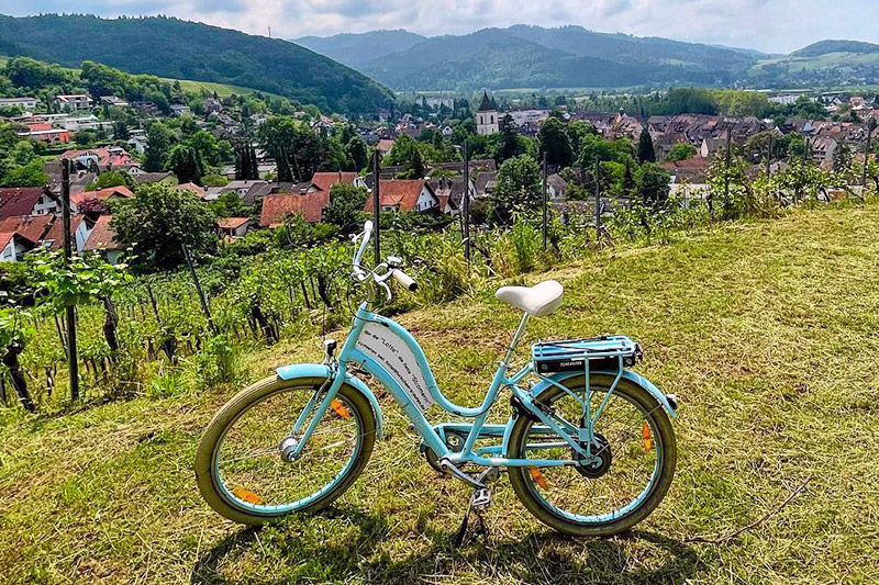 Fahrrad oder Mountainbike fahren